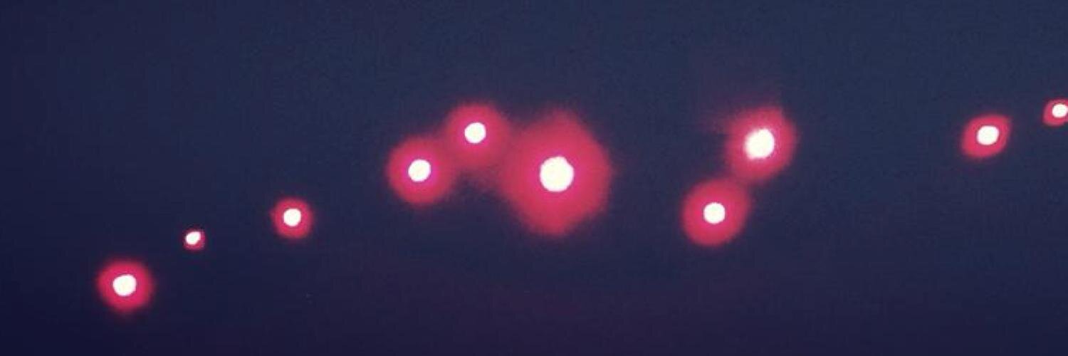 sean blunt banner
