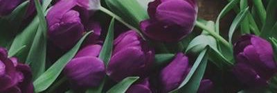 HaidyAladdin's profile banner image
