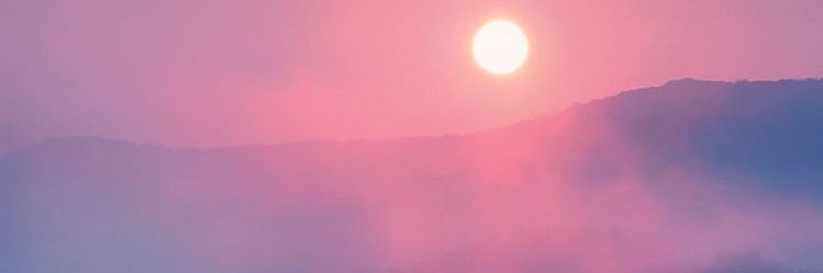 lushrecs's profile banner image