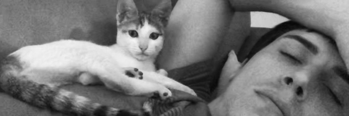 FElichabe's profile banner image