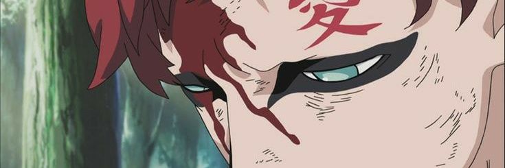 catasegalini's profile banner image
