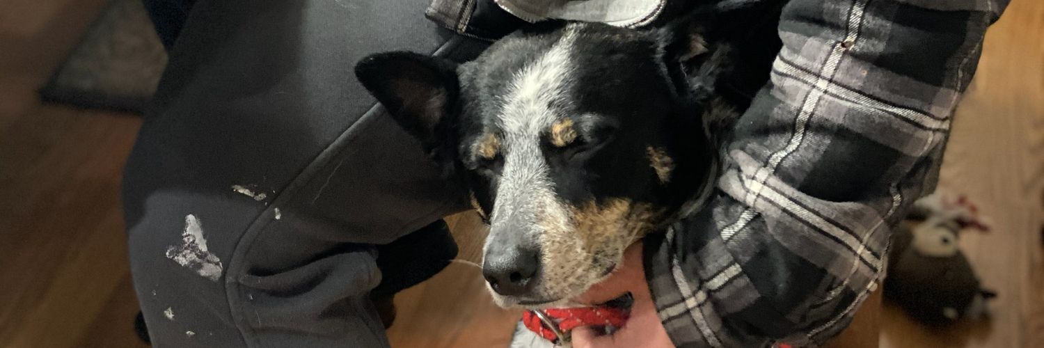 joeyk___'s profile banner image