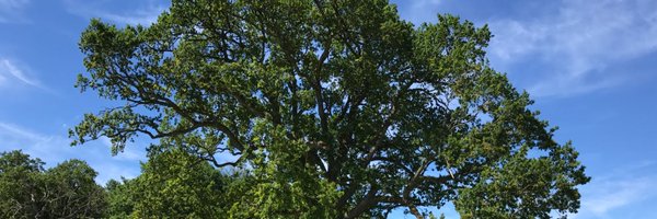 weinhauser Profile Banner