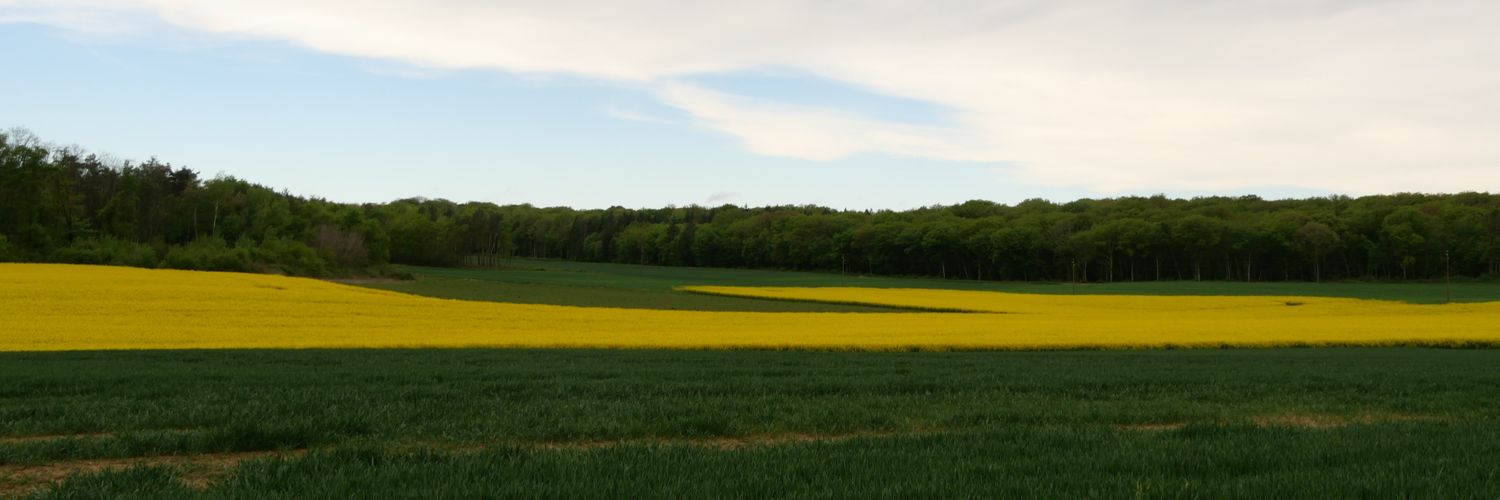 FrenchieV_'s profile banner image