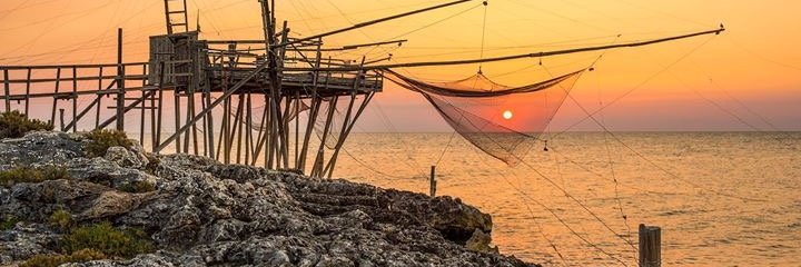 saverioserlenga's profile banner image