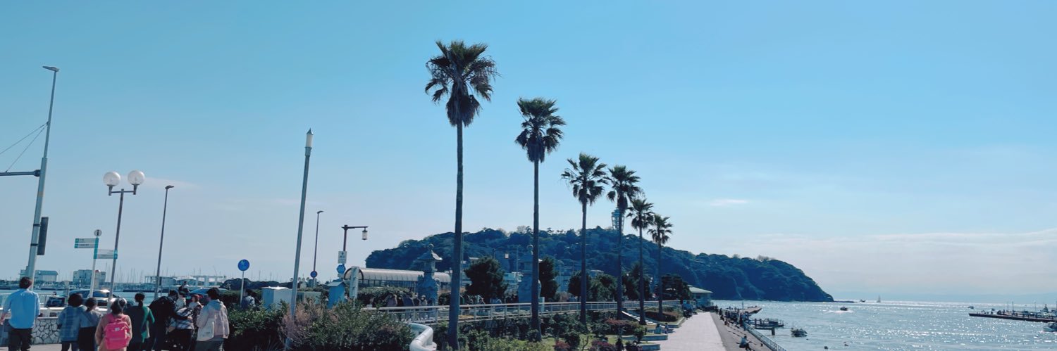 risa6100's profile banner image