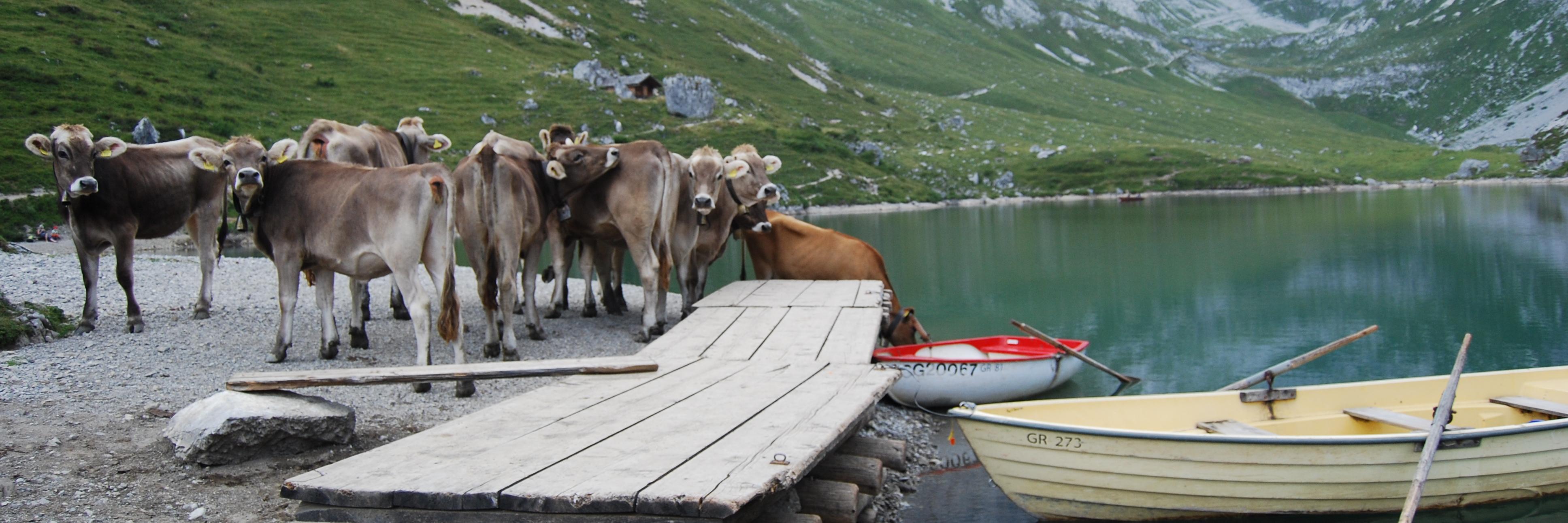 Heiko Jessayan banner