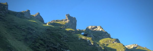 Losethebox Profile Banner