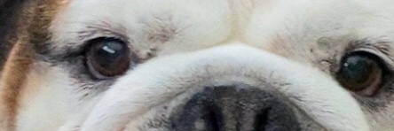 whistle202's profile banner image