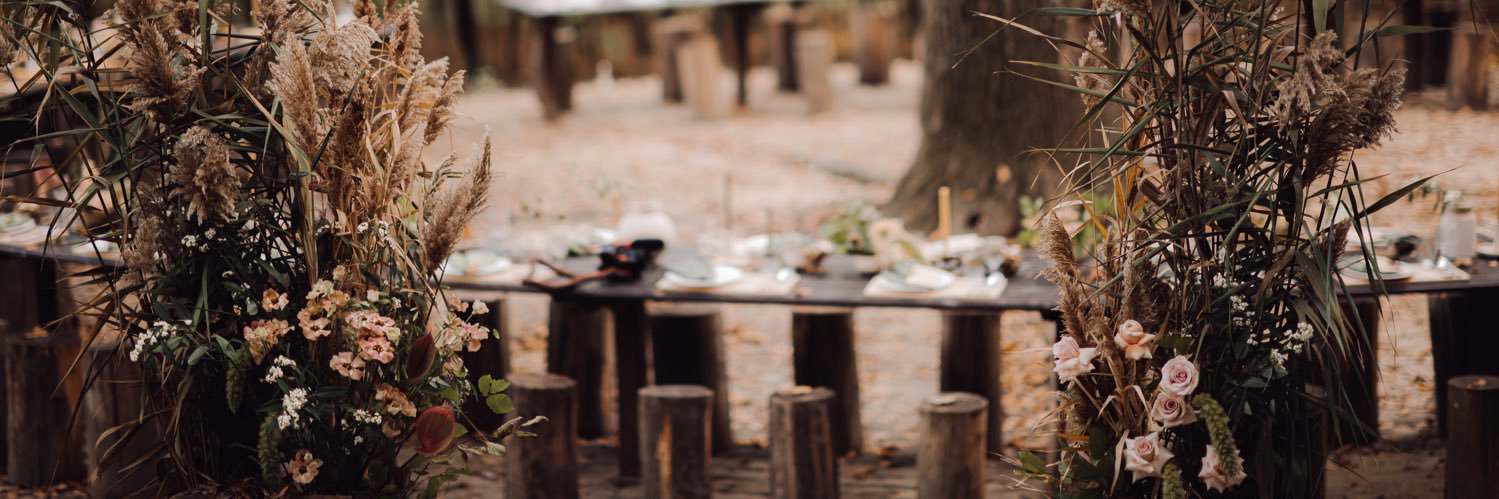 D A N I E L L E banner