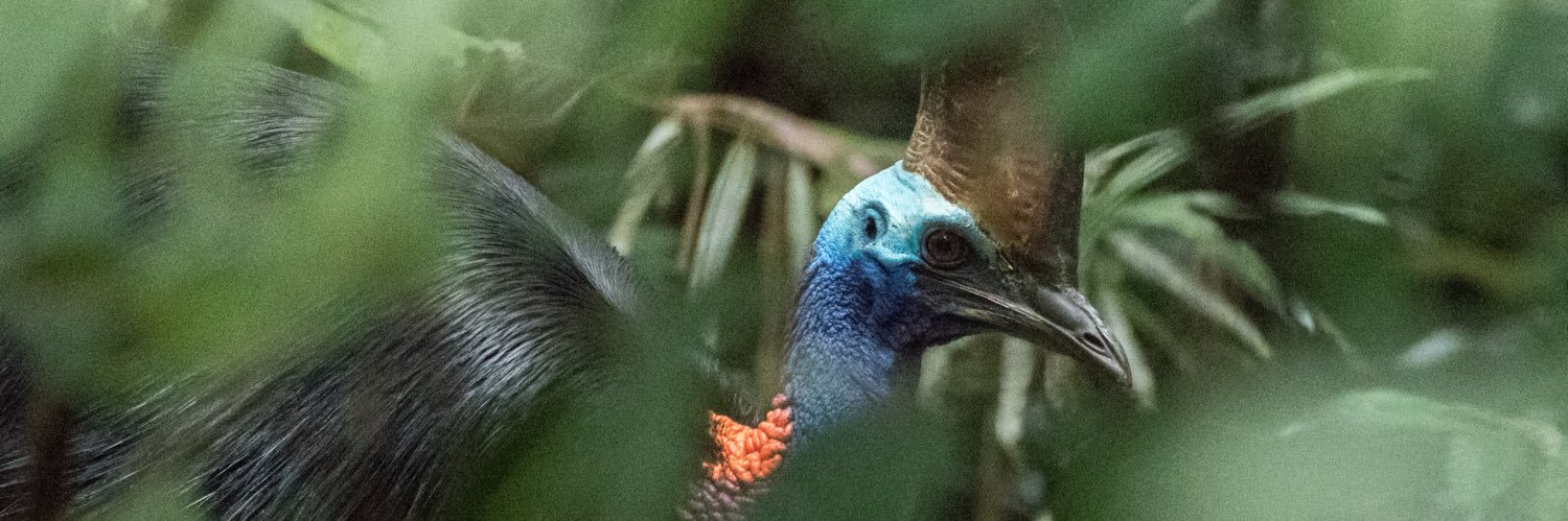 SigdenC's profile banner image