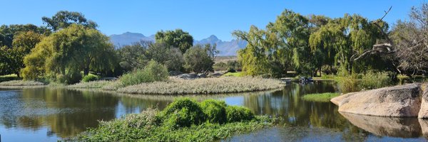 NatalieAndrew Profile Banner