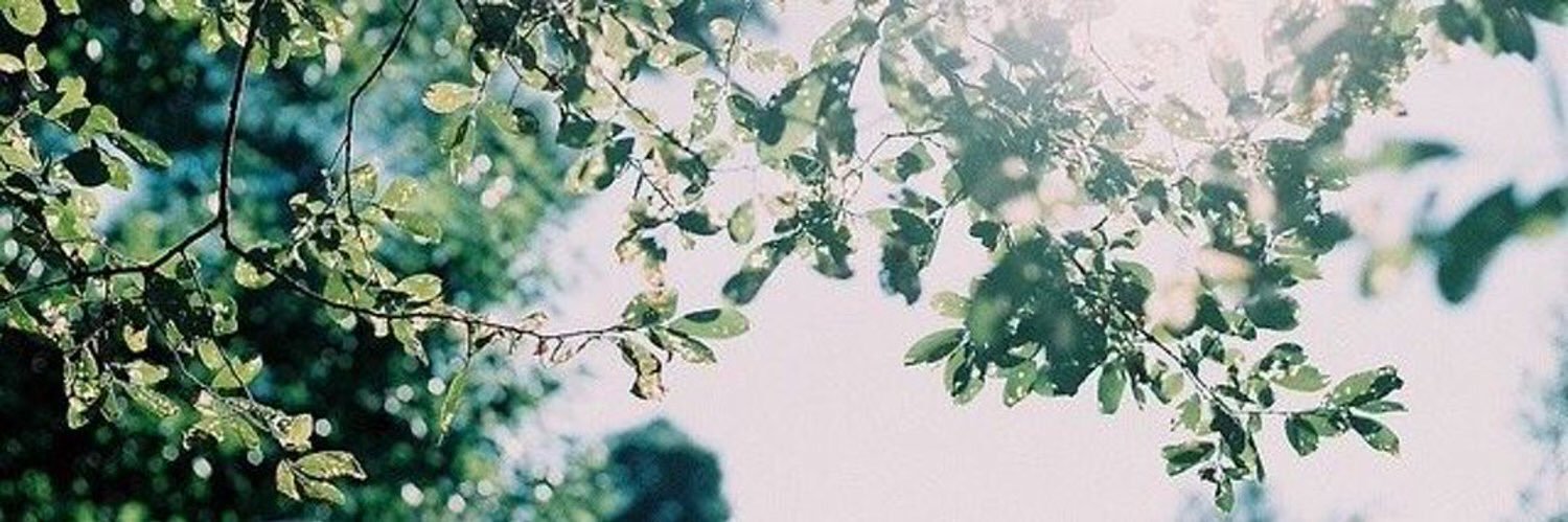Um_Mayar's profile banner image