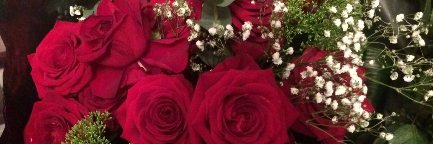 LauraMcInerney's profile banner image