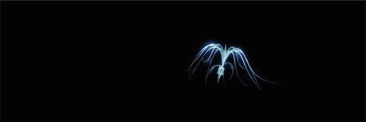 BKUG0U's profile banner image