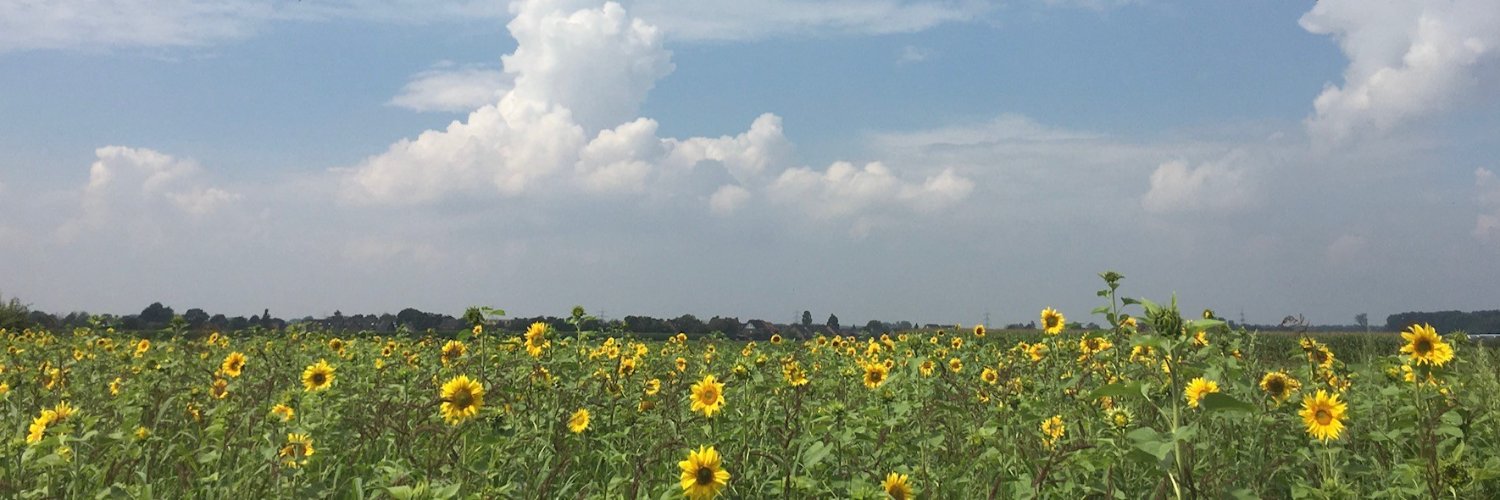 Projektmanager 🇩🇪 banner