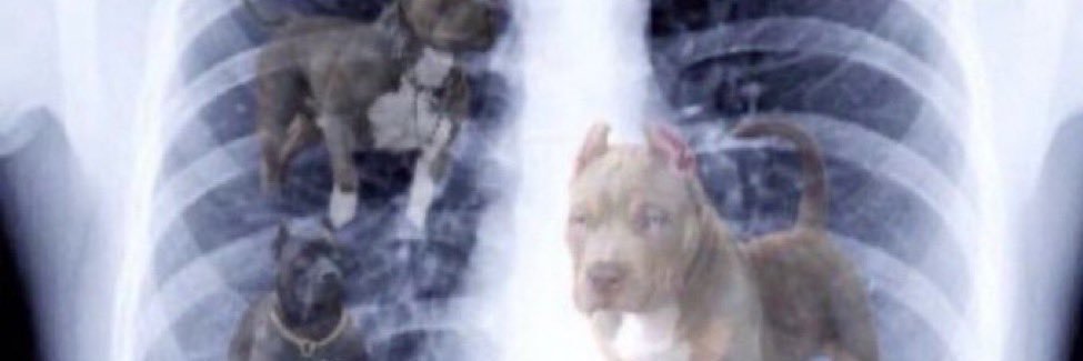 oldbob89's profile banner image