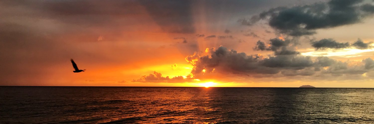 aunchleee369's profile banner image