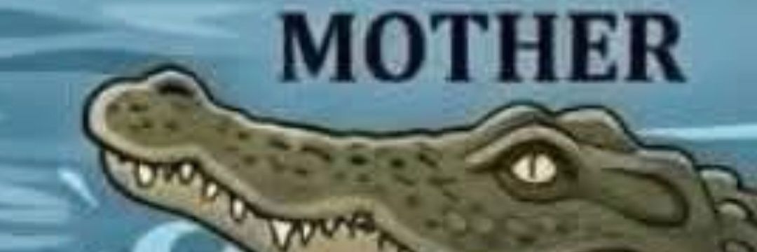 CMj banner