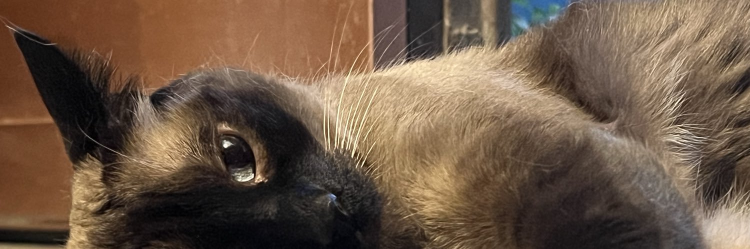 tapiabtw's profile banner image