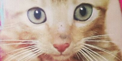 Laura_B31's profile banner image