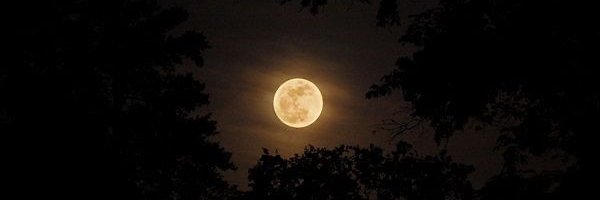 Medina2515's profile banner image