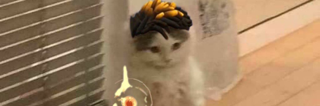 MattMTW's profile banner image