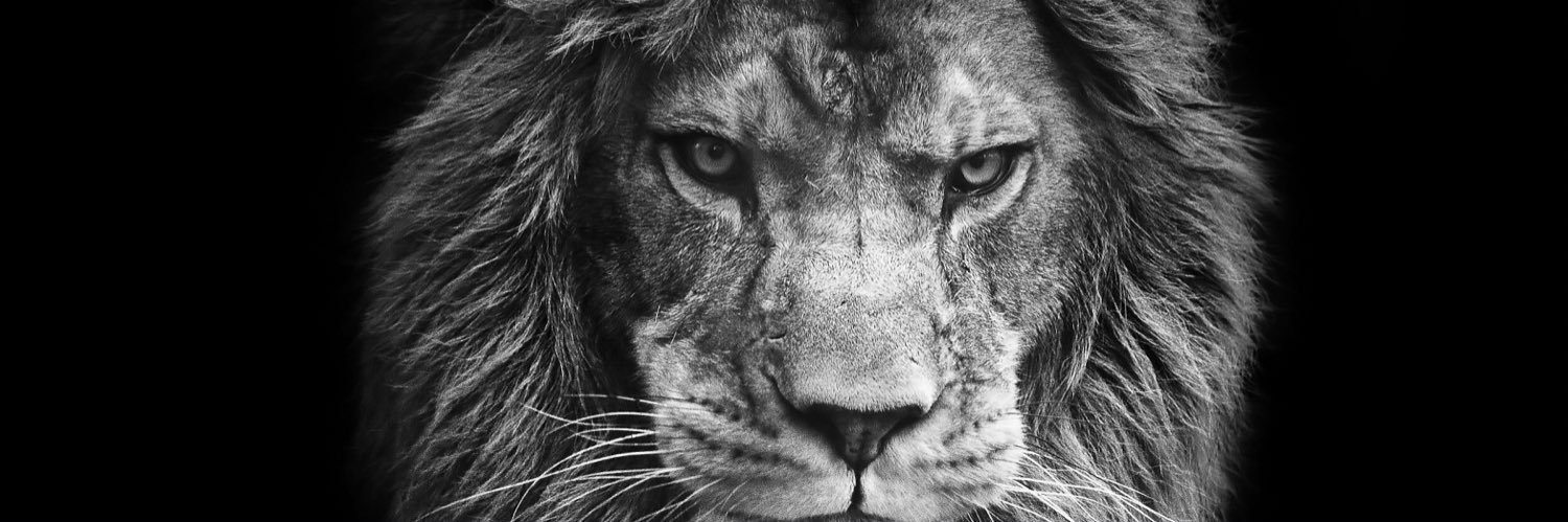 legenderi_esque's profile banner image