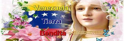 arelisdaniela's profile banner image