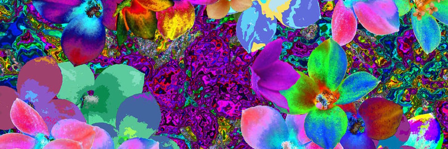 studentvub's profile banner image