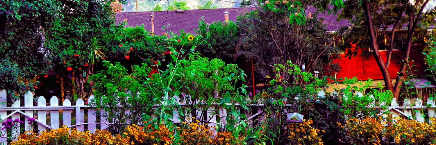No_Onions86's profile banner image