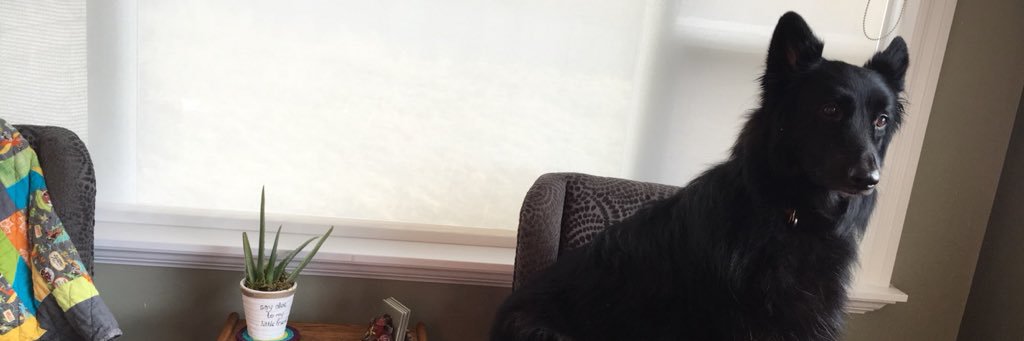 MirandaWiebe's profile banner image