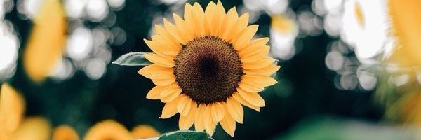 jahwula Profile Banner