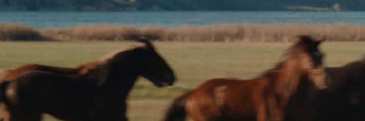 baileyann_____'s profile banner image