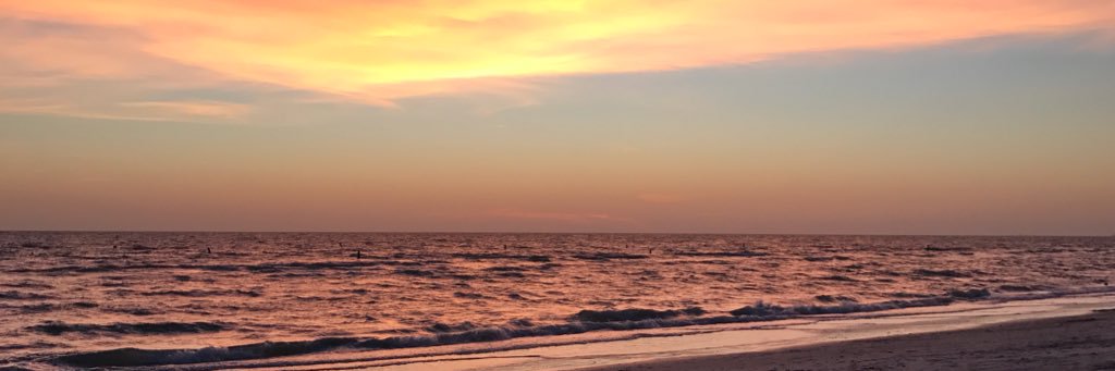tgreise's profile banner image