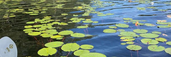 Jimibots Profile Banner