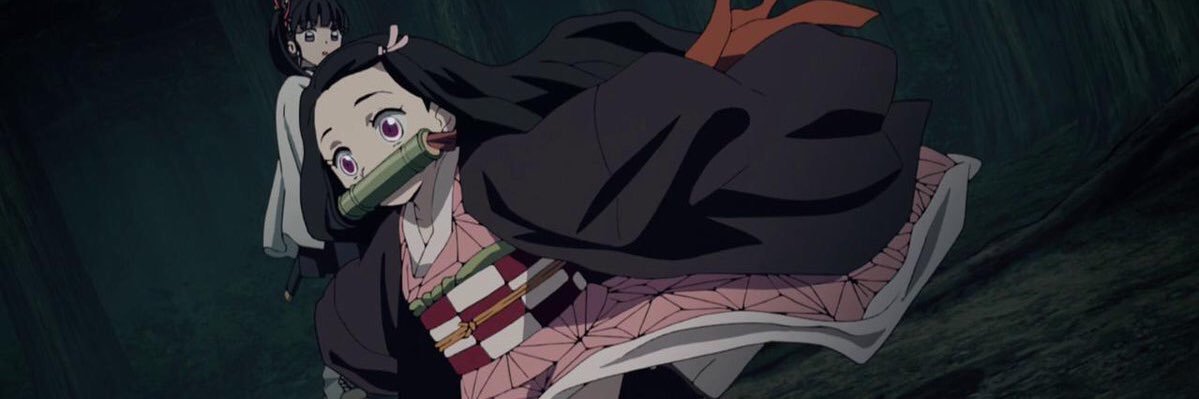 nbayer39's profile banner image