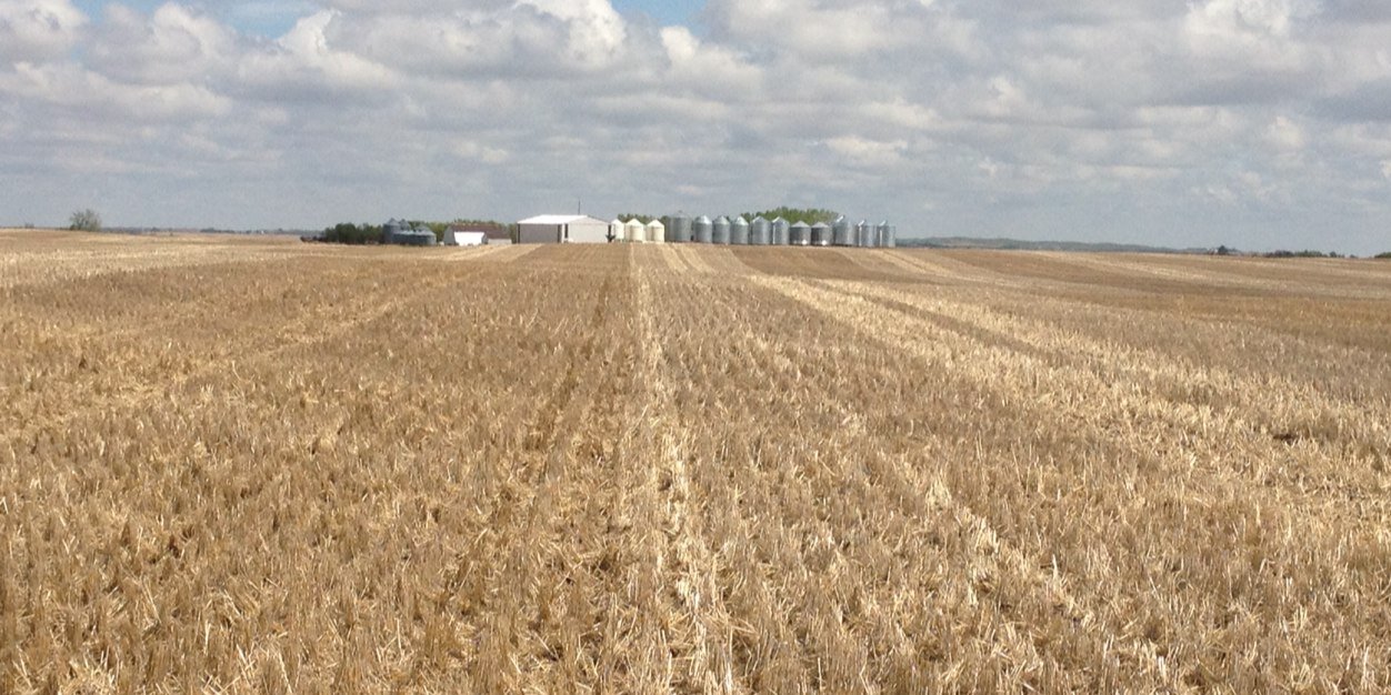 Brandon McClarty banner