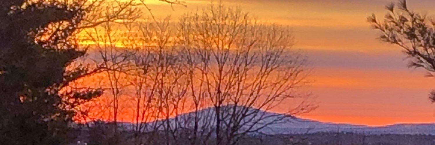 Jill Nogueras banner