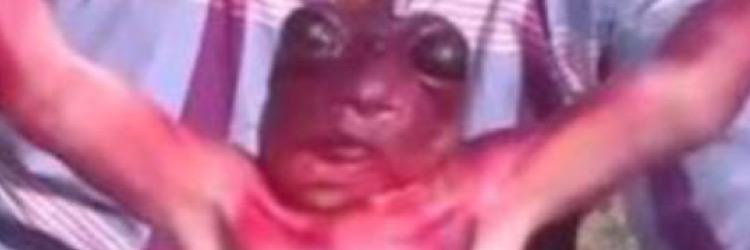 reeedlol's profile banner image
