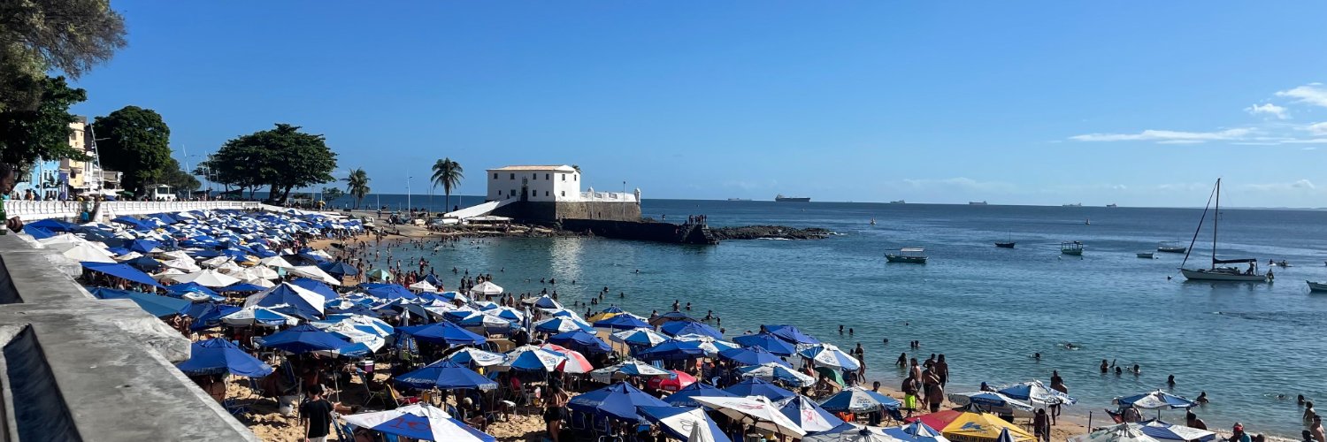 Isabel Laterzo-Tingley banner