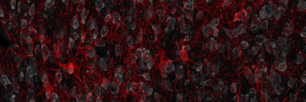 DrMBede Profile Banner