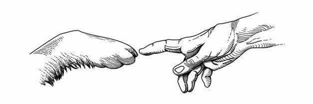 Edoardo Agnello banner