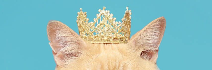 TeamMissMY's profile banner image