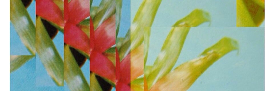 MartaLerma's profile banner image