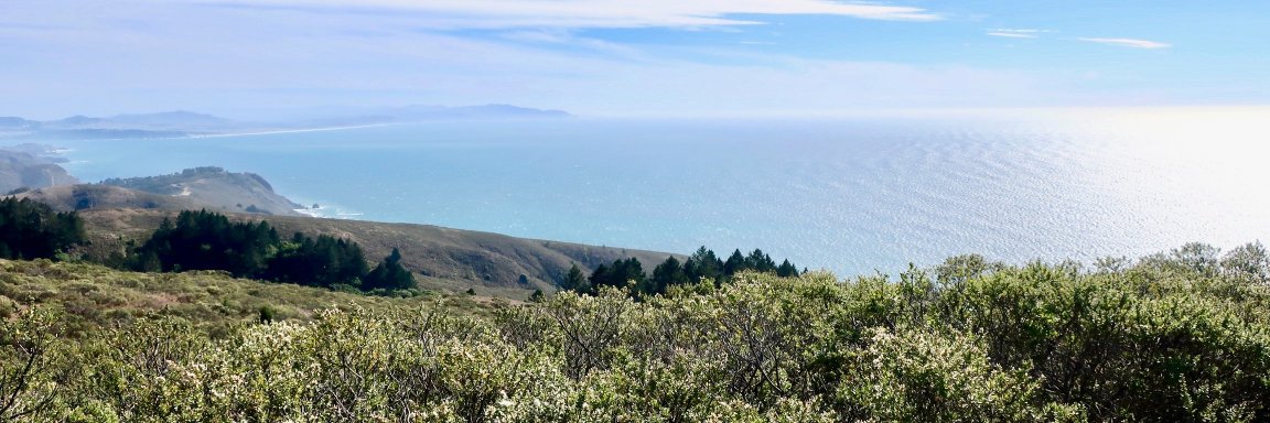 Cate Ward, PhD, RD banner