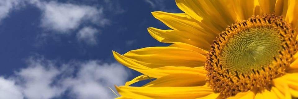 EarthlyExpress's profile banner image