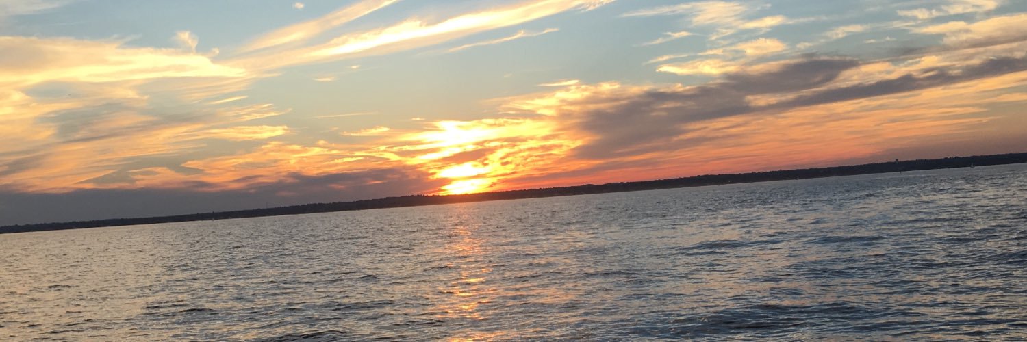 maryeslater's profile banner image