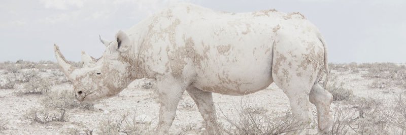jonasron's profile banner image