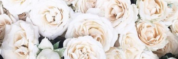 s_graham8's profile banner image